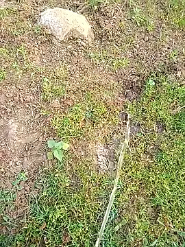 Snapshot of kumarstelugu chatting on 16, 1, 2026 kumarstelugu online show from 16, 1, 2026