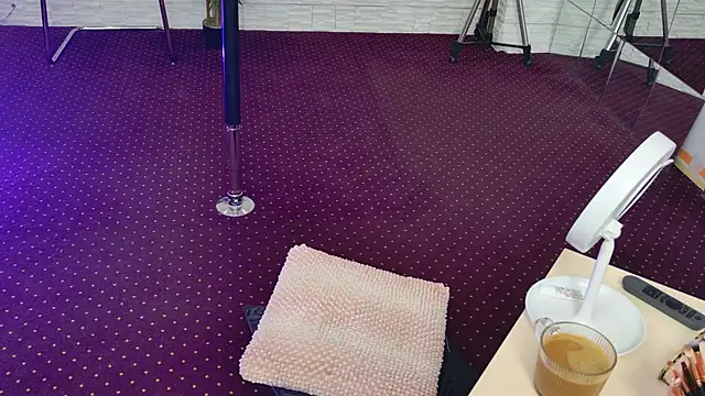 Snapshot of IvorySwan chatting on 4, 11, 2025 IvorySwan online show from 4, 11, 2025