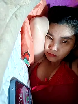 Bear bear0 online show from 3, 2, 2026