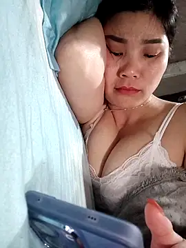 Bear bear0 online show from 5, 3, 2026