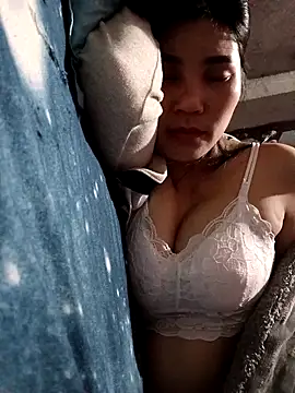 Bear bear0 online show from 11, 3, 2026