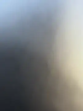 bart98geil online show from 3, 3, 2026