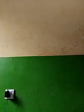 Snapshot of cutepussy356 chatting on 1, 11, 2025 cutepussy356 online show from 1, 11, 2025