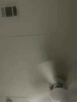 D13ON3L online show from 8, 11, 2025