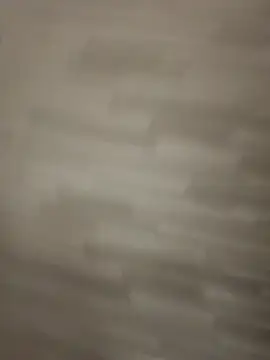 gatitalocahot online show from 17, 3, 2026