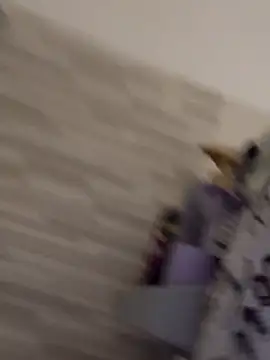 gatitalocahot online show from 30, 3, 2026