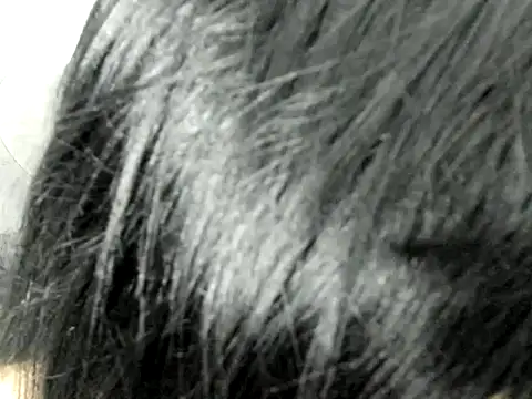 Snapshot of Amminna chatting on 29, 11, 2025 Amminna online show from 29, 11, 2025