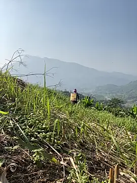 Snapshot of Irin_jo chatting on 23, 11, 2025 Irin jo online show from 23, 11, 2025