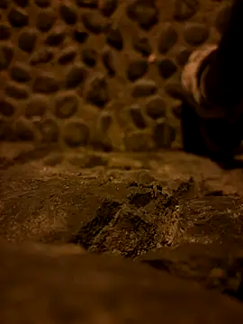 Rico1 1 online show from 19, 11, 2025