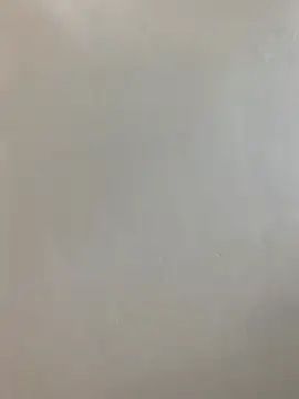 hairypussy254 online show from 19, 4, 2026