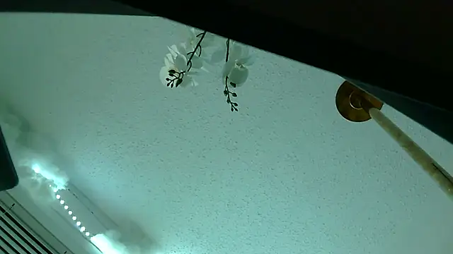Snapshot of playxrated chatting on 10, 4, 2026 playxrated online show from 10, 4, 2026
