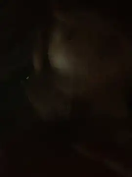 Lara-11 online show from 14, 2, 2026