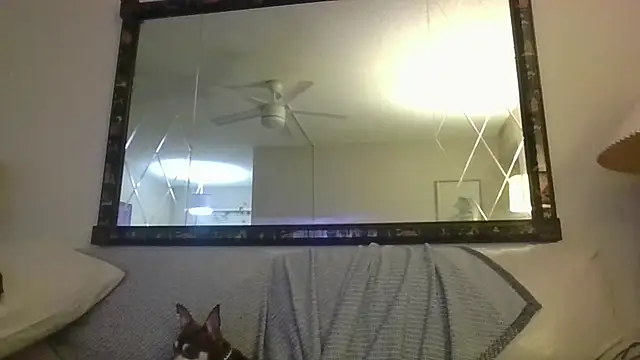 Snapshot of KosherCo313 chatting on 23, 11, 2025 KosherCo313 online show from 23, 11, 2025