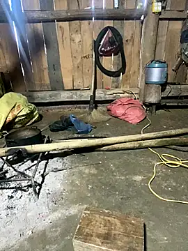 nachi-baby online show from 14, 12, 2025