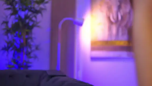 Aisha Bee online show from 4, 4, 2026