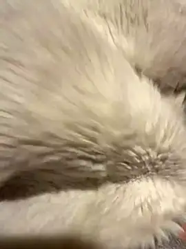 Snapshot of Jackoff2345 chatting on 26, 10, 2025 Jackoff2345 online show from 26, 10, 2025