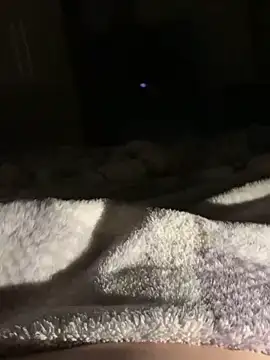 bfelipedasilva online show from 1, 11, 2025