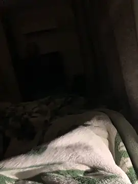 bfelipedasilva online show from 6, 11, 2025