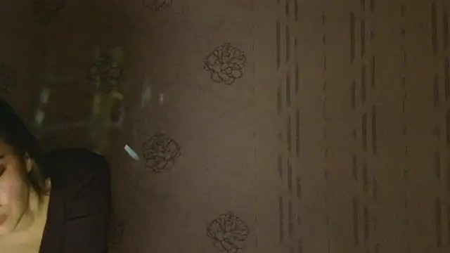 Snapshot of LumiHeart chatting on 16, 11, 2025 LumiHeart online show from 16, 11, 2025