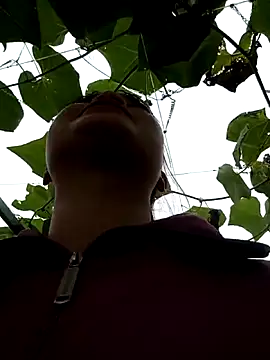 Noelle-e online show from 11, 3, 2026