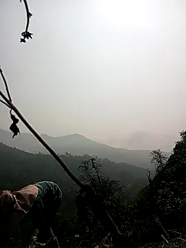 Phoena-a online show from 3, 4, 2026