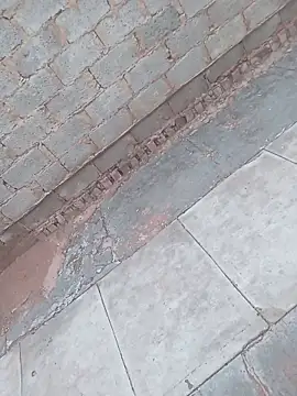 Snapshot of younggblackkCOCK19 chatting on 3, 11, 2025 younggblackkCOCK19 online show from 3, 11, 2025