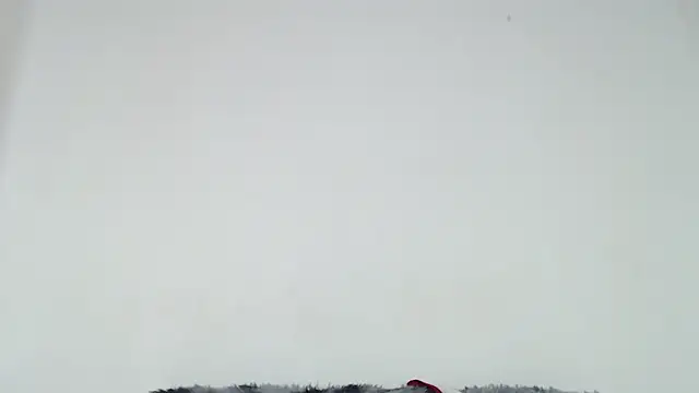 Snapshot of Mia_fox29 chatting on 31, 10, 2025 Mia fox29 online show from 31, 10, 2025