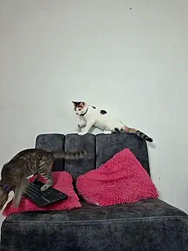 Snapshot of Mia_fox29 chatting on 13, 11, 2025 Mia fox29 online show from 13, 11, 2025