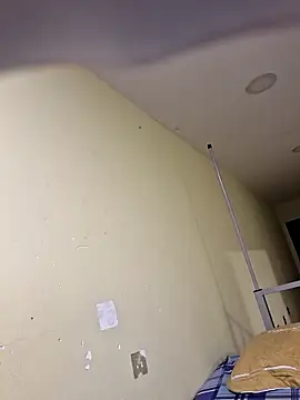 nobi-taz online show from 3, 12, 2025