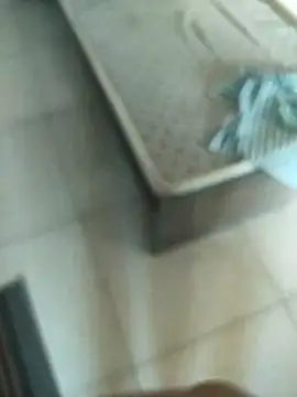 Snapshot of Telugus chatting on 7, 11, 2025 Telugus online show from 7, 11, 2025