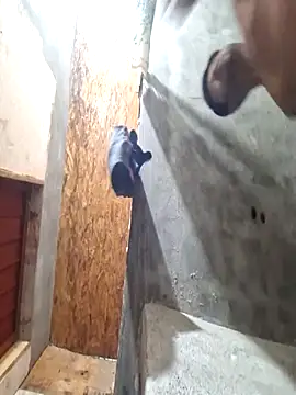 Snapshot of sanz957 chatting on 14, 11, 2025 sanz957 online show from 14, 11, 2025