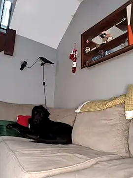 mattiethebaddieee online show from 30, 11, 2025