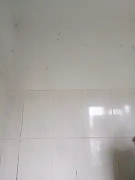 Snapshot of bella-la chatting on 12, 2, 2026 bella-la online show from 12, 2, 2026