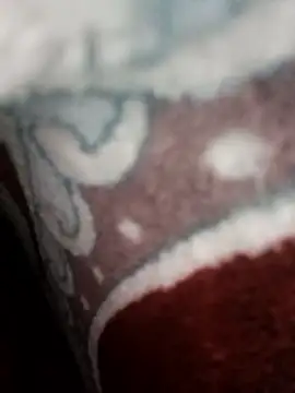 Snapshot of bigtelugubhama chatting on 22, 11, 2025 bigtelugubhama online show from 22, 11, 2025