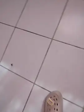 HomeyVending online show from 11, 11, 2025