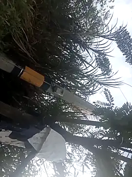 Camila-Valverde online show from 31, 1, 2026