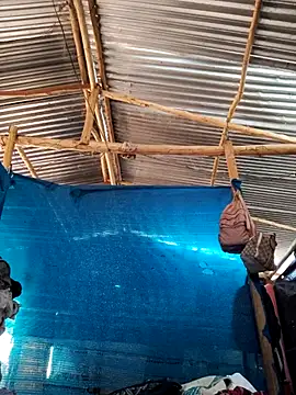 Soymaia online show from 13, 2, 2026