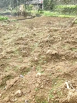 tian7788 online show from 17, 2, 2026