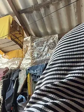 sapup858 online show from 31, 10, 2025