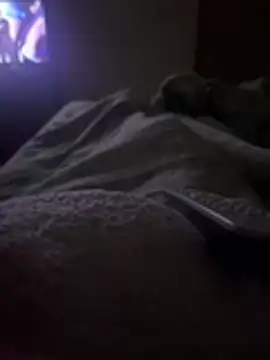 Snapshot of gatitaamelosaa7 chatting on 24, 2, 2026 gatitaamelosaa7 online show from 24, 2, 2026