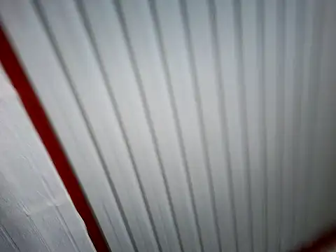 xwildflowerx online show from 3, 3, 2026