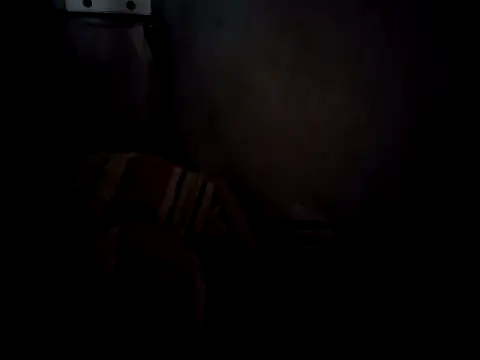 6perlas9 online show from 3, 11, 2025