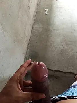 DeividLuiztdb online show from 31, 3, 2026