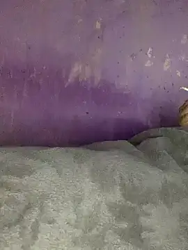 Snapshot of hotman29 chatting on 26, 11, 2025 hotman29 online show from 26, 11, 2025