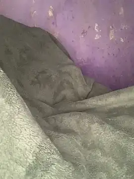 hotman29 online show from 8, 1, 2026