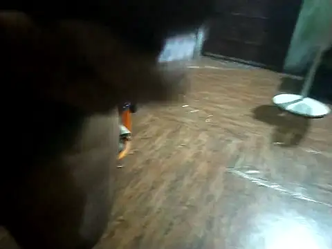 BdTinyDick online show from 11, 11, 2025