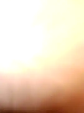 tamal2511 online show from 21, 11, 2025