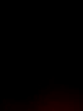 Tamil White Rose online show from 4, 4, 2026