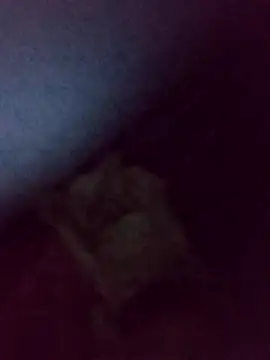 Drian1010 online show from 4, 11, 2025