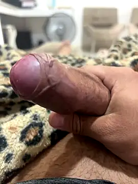 Lp201  online show from 14, 11, 2025